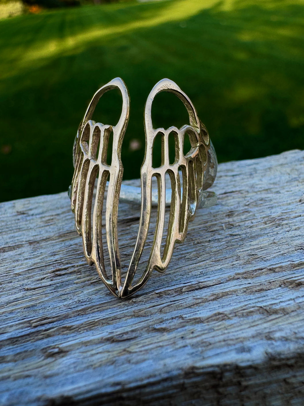 Raven ring